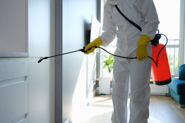 Best Residential Mold Removal  in Warsaw, IN