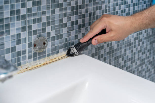 Best Fast Mold Removal  in Warsaw, IN