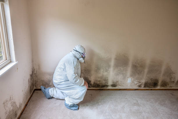 Water Damage Restoration in Warsaw, IN